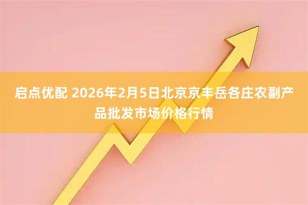 启点优配 2026年2月5日北京京丰岳各庄农副产品批发市场价格行情